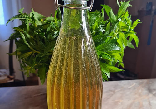 Liker od nane (mente) 3 Flaširani liker od nane